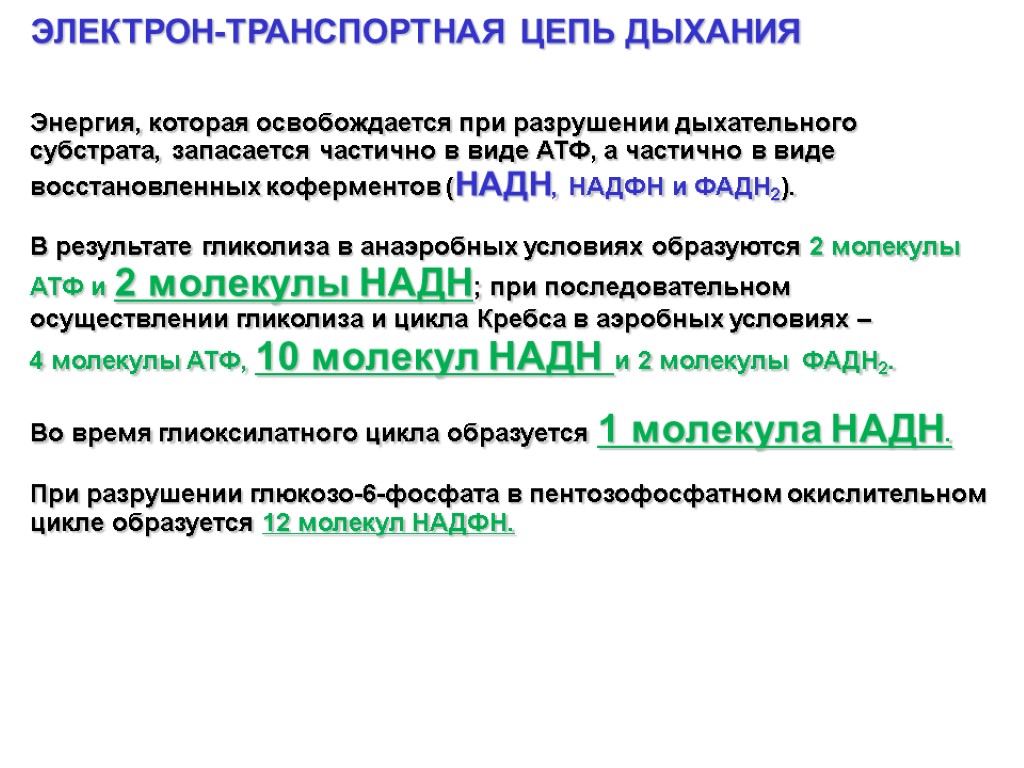 ЭЛЕКТРОН-ТРАНСПОРТНАЯ ЦЕПЬ ДЫХАНИЯ Энергия, которая освобождается при разрушении дыхательного субстрата, запасается частично в виде